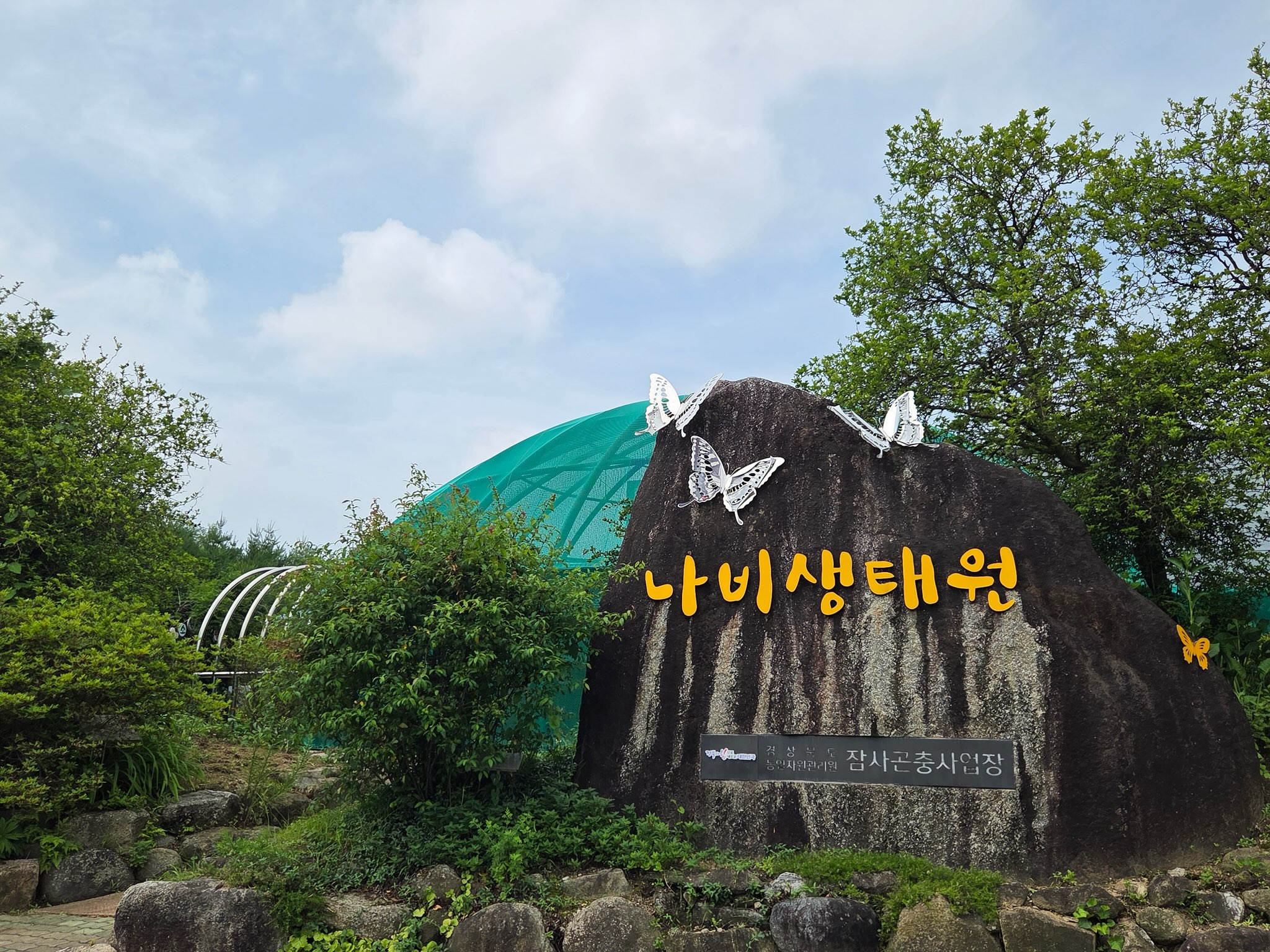 경북잠사곤충사업장, '곤충의 날' 맞아 나비생태원 특별 개장