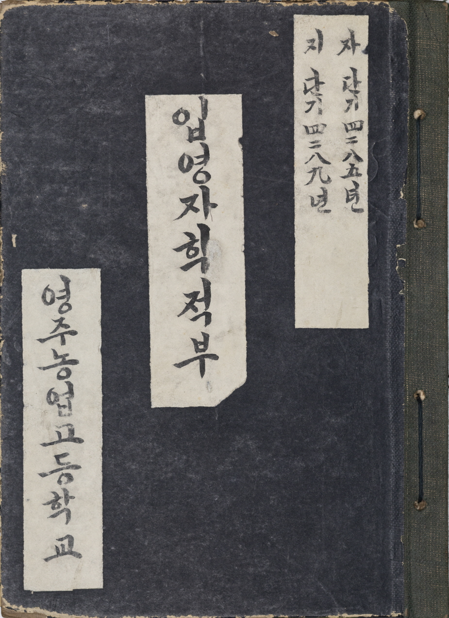 기사 본문 사진