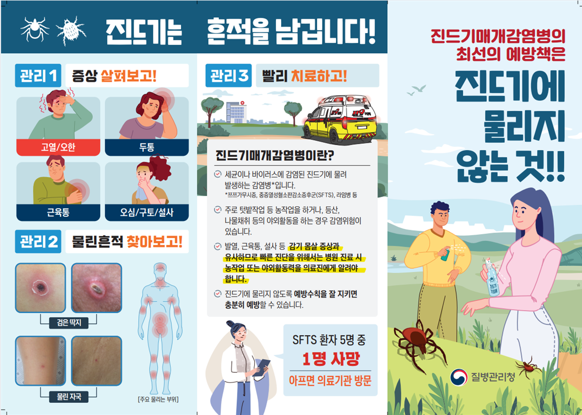 기사 본문 사진